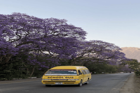 Tanzania: Safari de 10 días con Ngorongoro y Serengeti