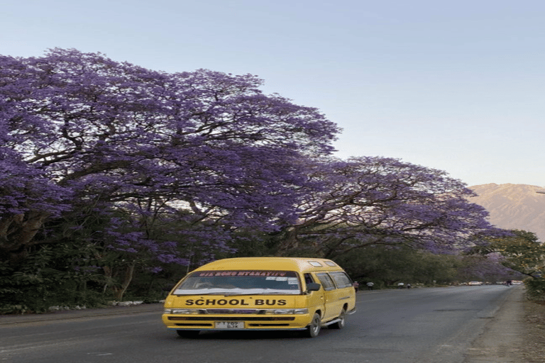 Tanzania: 10-Day Safari with Ngorongoro and Serengeti