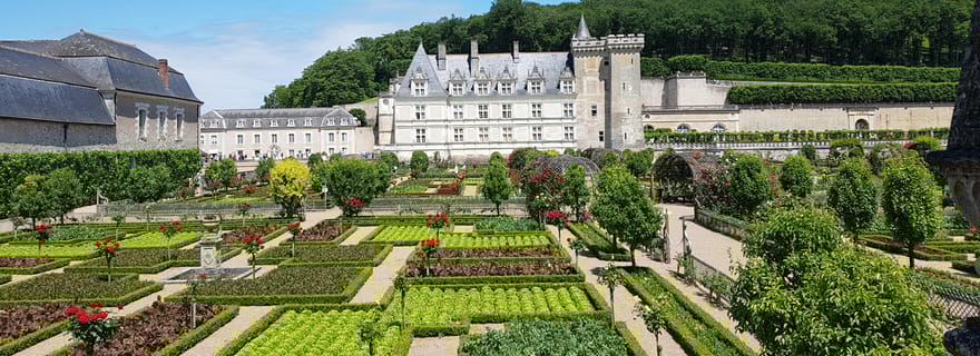 Depuis Amboise : Villandry, Azay-le-Rideau et caves locales