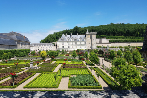 Von Amboise aus: Villandry, Azay-le-Rideau & Weinkellereien