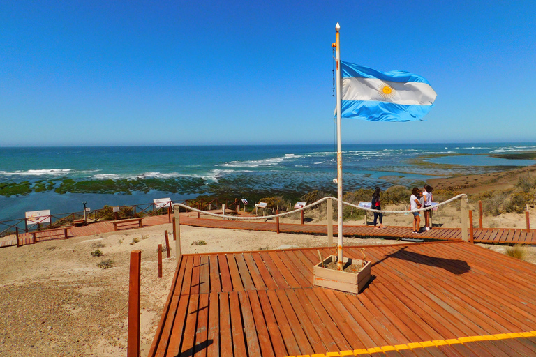 Península Valdés Excursiones en Tierra Tours