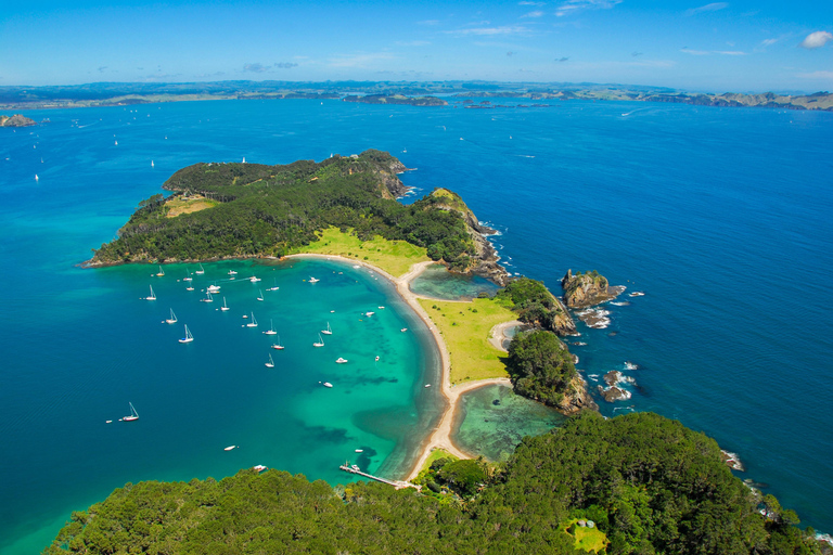 Au départ d&#039;Auckland : Visite d&#039;une jounée à la Bay of Islands