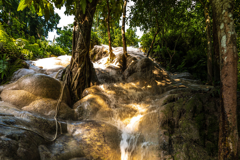 Excursión de un día en Chiang Mai I Cascada I Dantewada I Doi Suthep