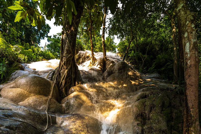 Excursión de un día en Chiang Mai I Cascada I Dantewada I Doi Suthep