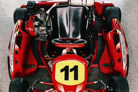 Pays de Galles du Sud : Expérience de karting en intérieur