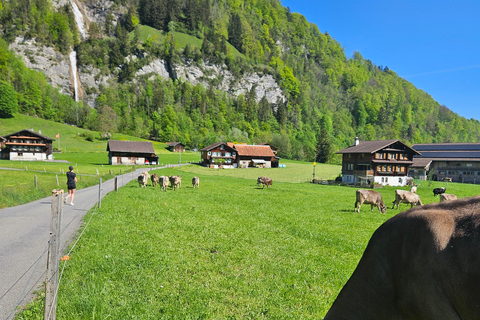 Zürich:Interlaken Grindelwald,Lauterbrunnen (Tillval Privat)