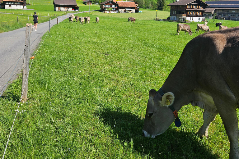 Zürich:Interlaken Grindelwald,Lauterbrunnen (optie privé)