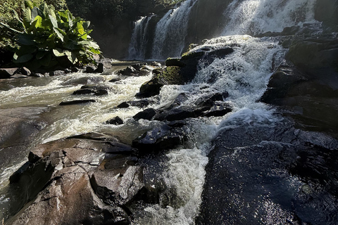 Hiking in Iguaçu National Park: A nature hike Trails in Iguaçu National Park: A hike through nature