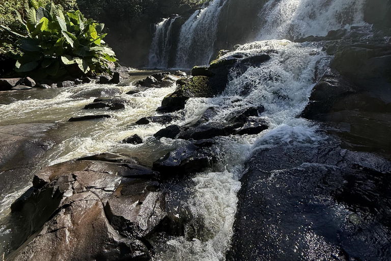 Hiking in Iguaçu National Park: A nature hike Trails in Iguaçu National Park: A hike through nature