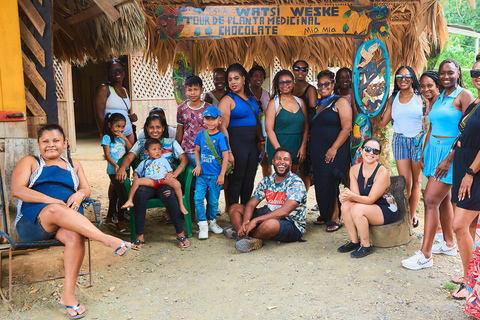 Cahuita National Park+Bribri Chocolate Tour+Waterfalls Tour+Lunch