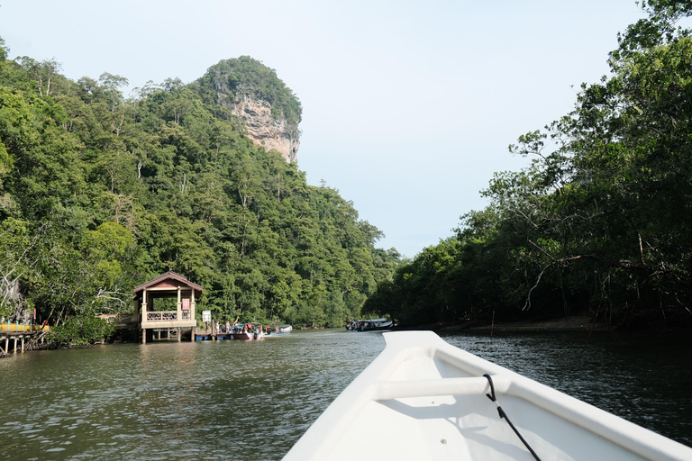 Langkawi : visite privée de 2 heures dans la mangrove avec transfert depuis l&#039;hôtelGroupe de 6 personnes (par bateau)