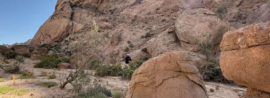 Walvis Bay : Excursions pour les passagers de croisière