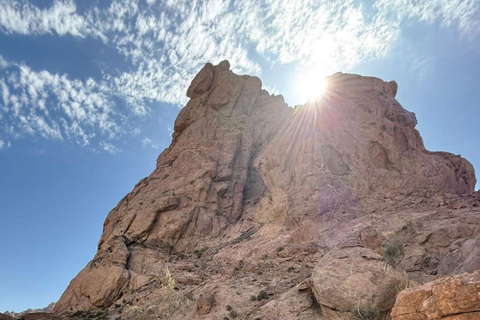 Walvis Bay: Cruiseliner Excursions