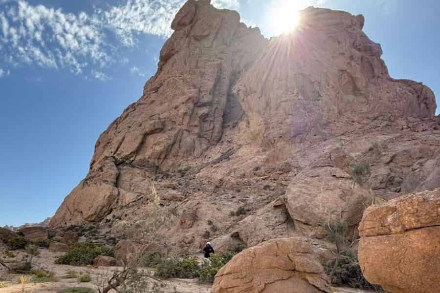Walvis Bay: Premium-Ausflug in kleiner Gruppe, alles inklusive. Foto: GetYourGuide