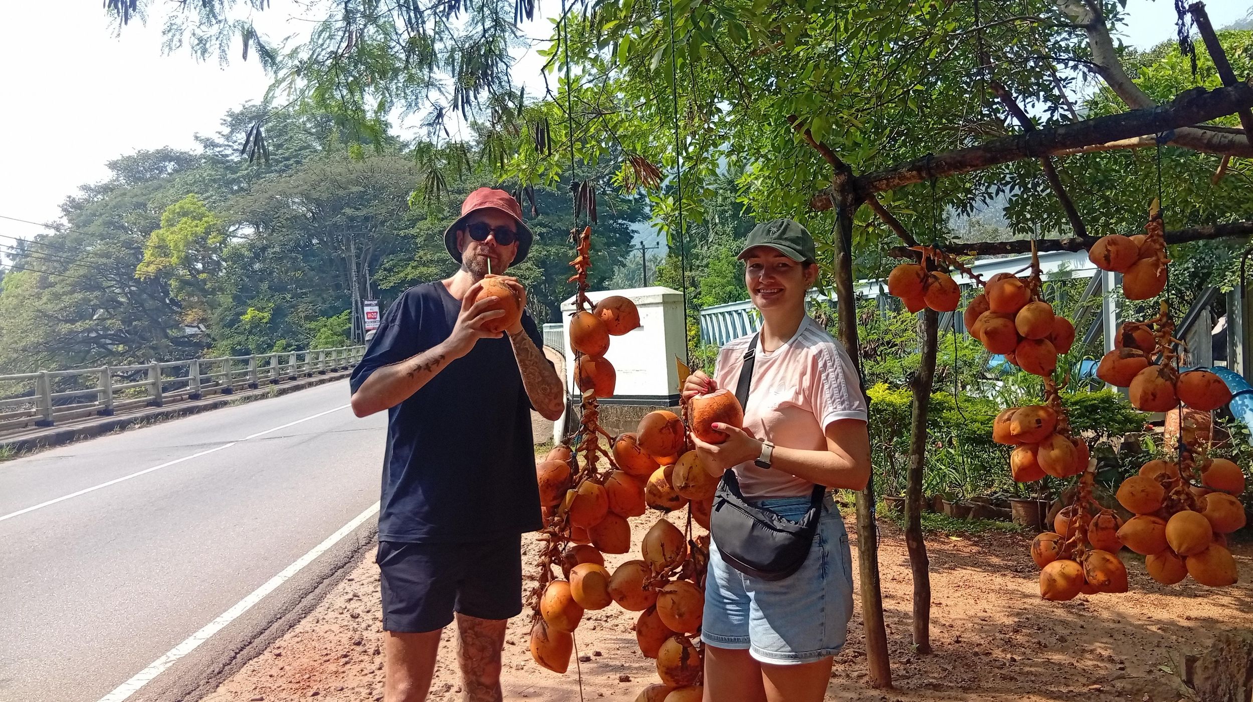 Kandy: Teeplantage, Fabrik & Wasserfälle, Ambuluwawa-Tour