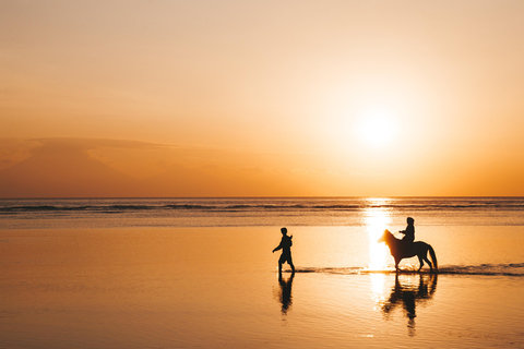 Rincón: Guided Horseback Riding Tour with Ocean Views
