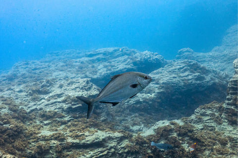 Vila Franca Islet: Snorkeling Inside the Crater