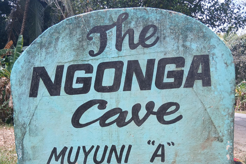 桑给巴尔：穆尤尼村之旅和姆滕德海滩放松体验私人观光（含接送服务）