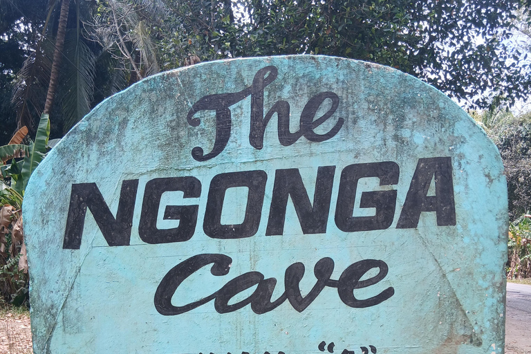 桑给巴尔：穆尤尼村之旅和姆滕德海滩放松体验私人观光（含接送服务）