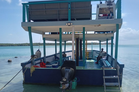 Tobago: tour in barca con fondo trasparente al Buccoo Reef Marine ParkTobago: tour in barca con fondo trasparente + Rumpunch