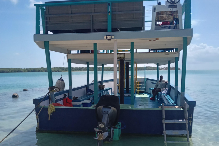 Tobago: tour in barca con fondo trasparente al Buccoo Reef Marine ParkTobago: tour in barca con fondo trasparente + Rumpunch