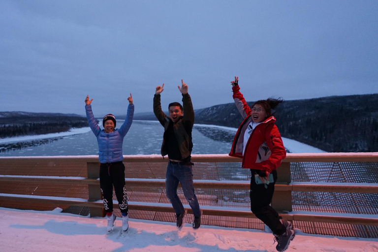 Excursión de un día completo al Círculo Polar Ártico