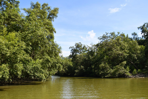 Targ Maeklong, tajemnice namorzynów, podróż inspirowana lotosem