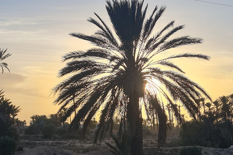 正宗杰尔巴：日落马车之旅和东方小吃正宗杰尔巴岛：日落马车之旅和免费东方小吃