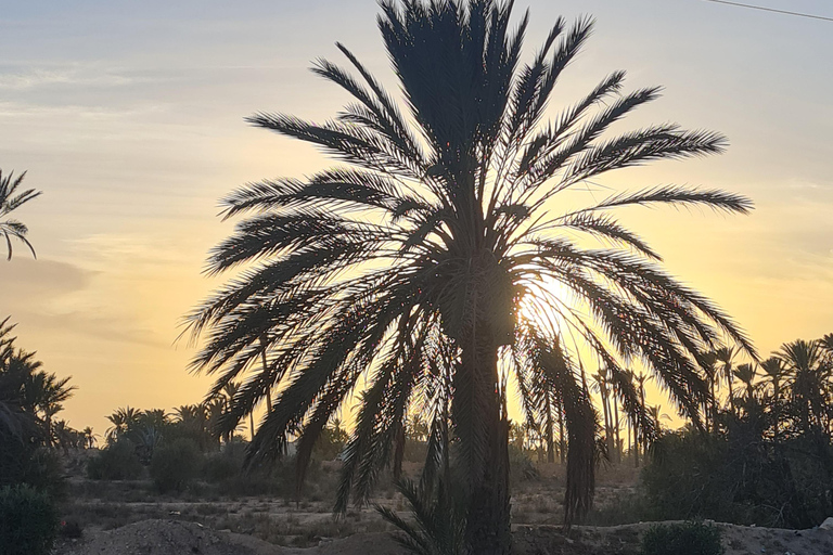 正宗杰尔巴：日落马车之旅和东方小吃正宗杰尔巴岛：日落马车之旅和免费东方小吃