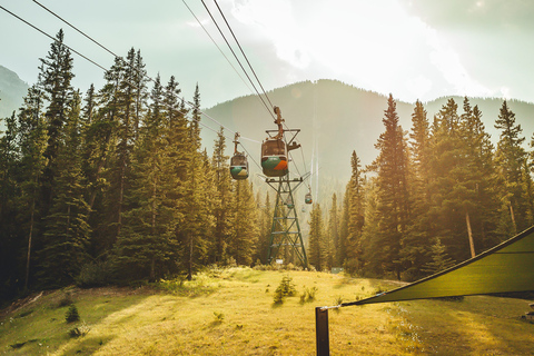 Banff: Bilhete de entrada para a gôndola de BanffBanff: ingresso para a gôndola de Banff