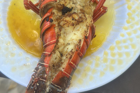 San José: Isla Tortuga Day Trip with Snorkeling & Lunch