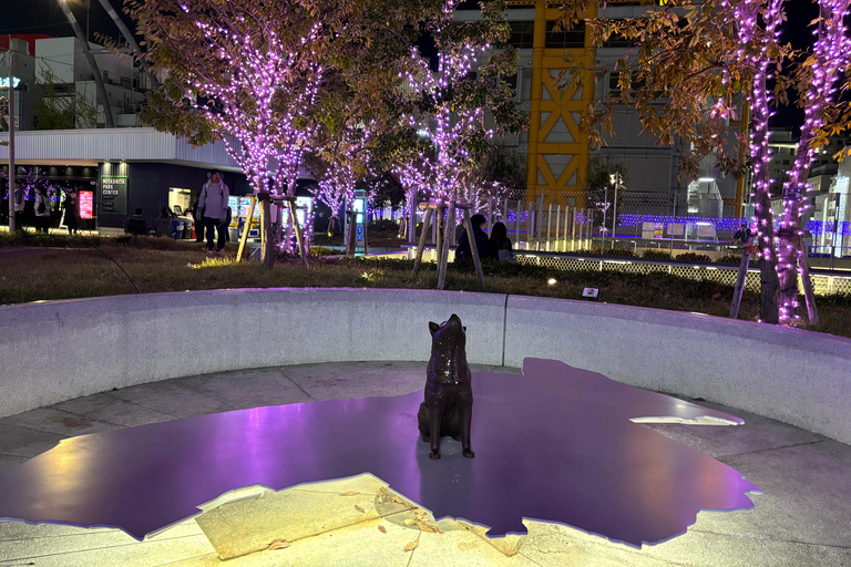 东京涩谷精华漫步之旅和秘密后街