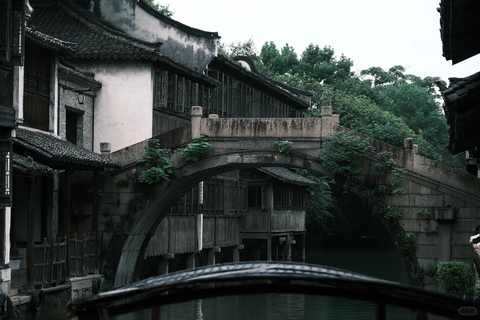 From Hangzhou: Wuzhen Water Town Day Trip & Night Lights
