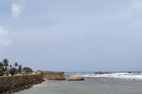 Sri Lanka: 10-Day Wildlife, Culture & Scenic Adventure