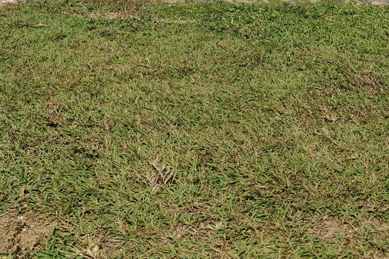 Sri Lanka: 10-Day Wildlife, Culture & Scenic Adventure