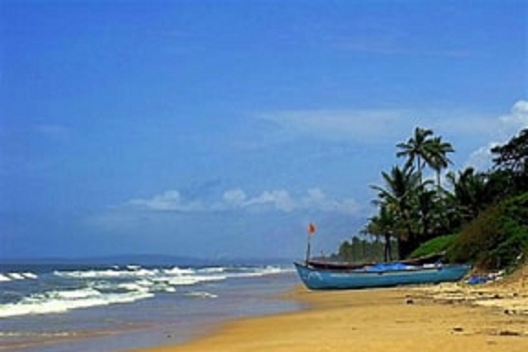 من دلهي إلى جوا: الثقافة والشمس والرمال والحياة الليلية في جواجولة شاملة كليًا