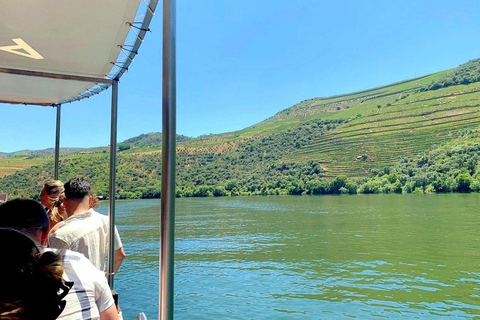 Half Day Douro Valley Tour with Cruise and Winery Lunch