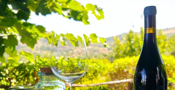 Tasting of Portuguese Wines from the Alto Douro