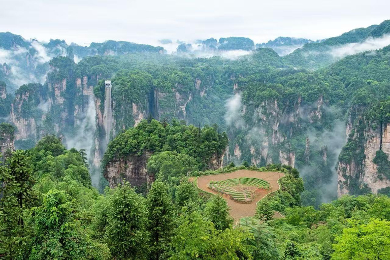 Zhangjiajie National Forest Park Ticket: Avatar Mountains