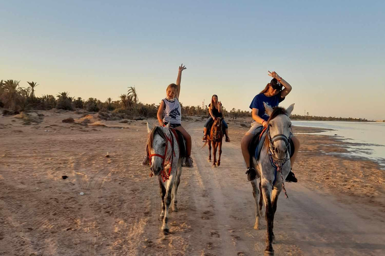 Djerba: Crossing the Lagoon on Horseback at Sunset Djerba: Horseback ride across the lagoon at sunset