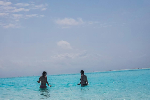 Zanzibar: tour privato dell'isola di MnembaTour privato. Non c'è il servizio di prelievo in hotel e non c'è il pranzo.