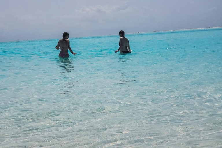 Zanzibar: tour privato dell'isola di MnembaTour privato. Non c'è il servizio di prelievo in hotel e non c'è il pranzo.