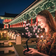 Busan: Gyeongju Guided Day Trip to Three Kingdoms Capital Busan: Gyeongju Guided Day Trip to Three Kingdoms Capital