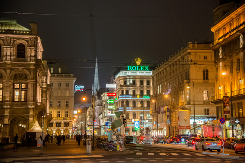 Vienna: Christmas Evening Tour with Schönbrunn Palace Lights