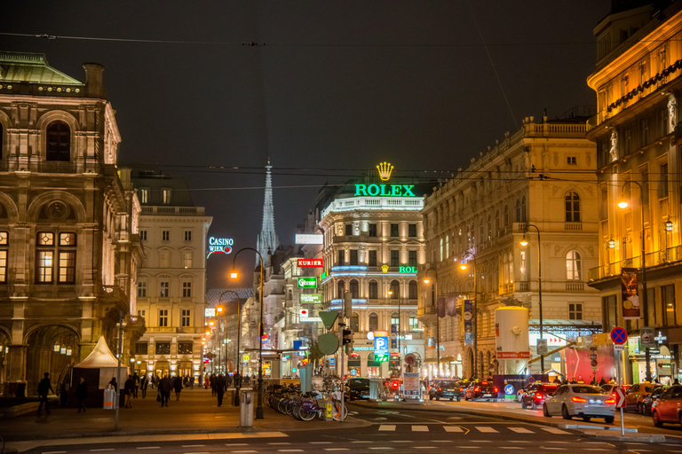 Vienna: Christmas Evening Tour with Schönbrunn Palace Lights
