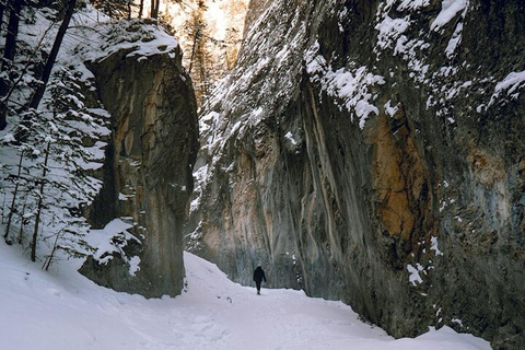 Grotto Canyon Ice Walk with Indigenous Pictographs Calgary pick up