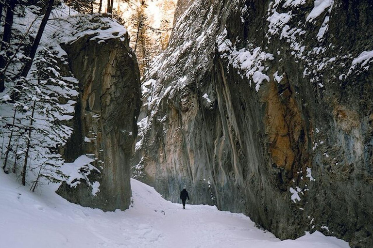Grotto Canyon Ice Walk with Indigenous Pictographs Calgary pick up