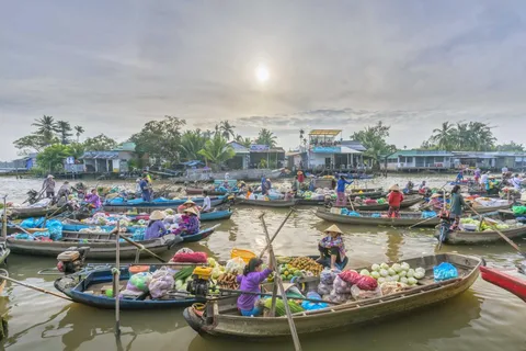 From Ho Chi Minh: Mekong Delta 2 Days 1 Night