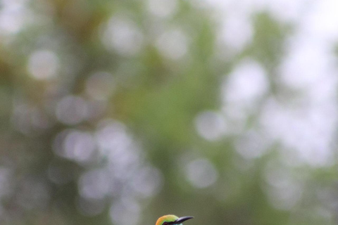 Sri Lanka: 6-Day Photography Tour with Hotel & Guide