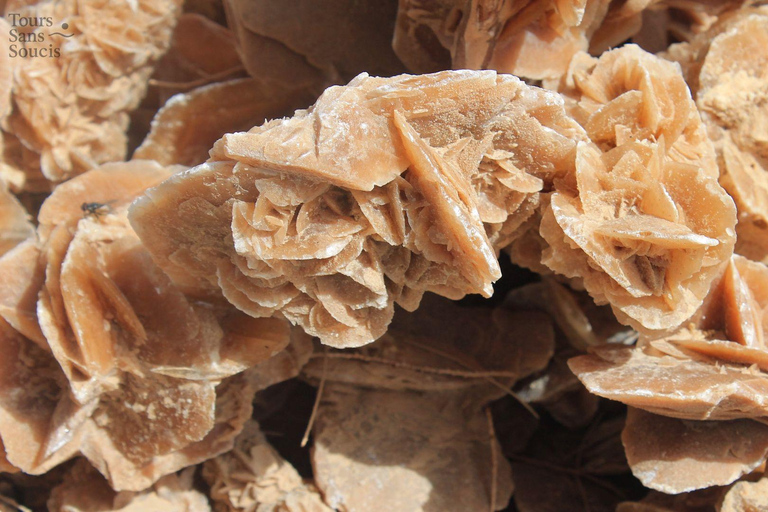 Djerba: Private Excursion to Ksar Ghilane & Tataouine in 1 Day Desert Djerba: Private Day Trip to Ksar Ghilane & Tataouine in the Desert